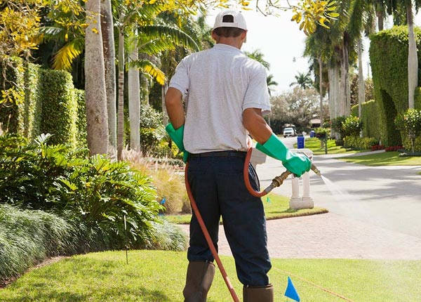 About Bertrand NE Pest Control